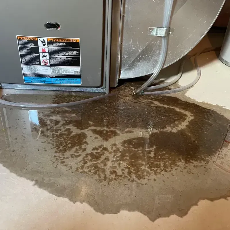 Appliance Leak Cleanup in Spearman, TX